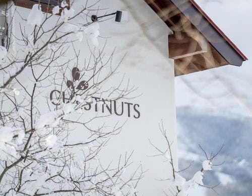 晴れた冬の美しさ