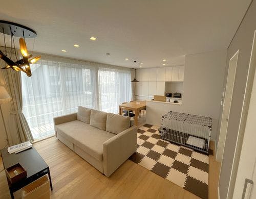 ペットルームのリビングになります。