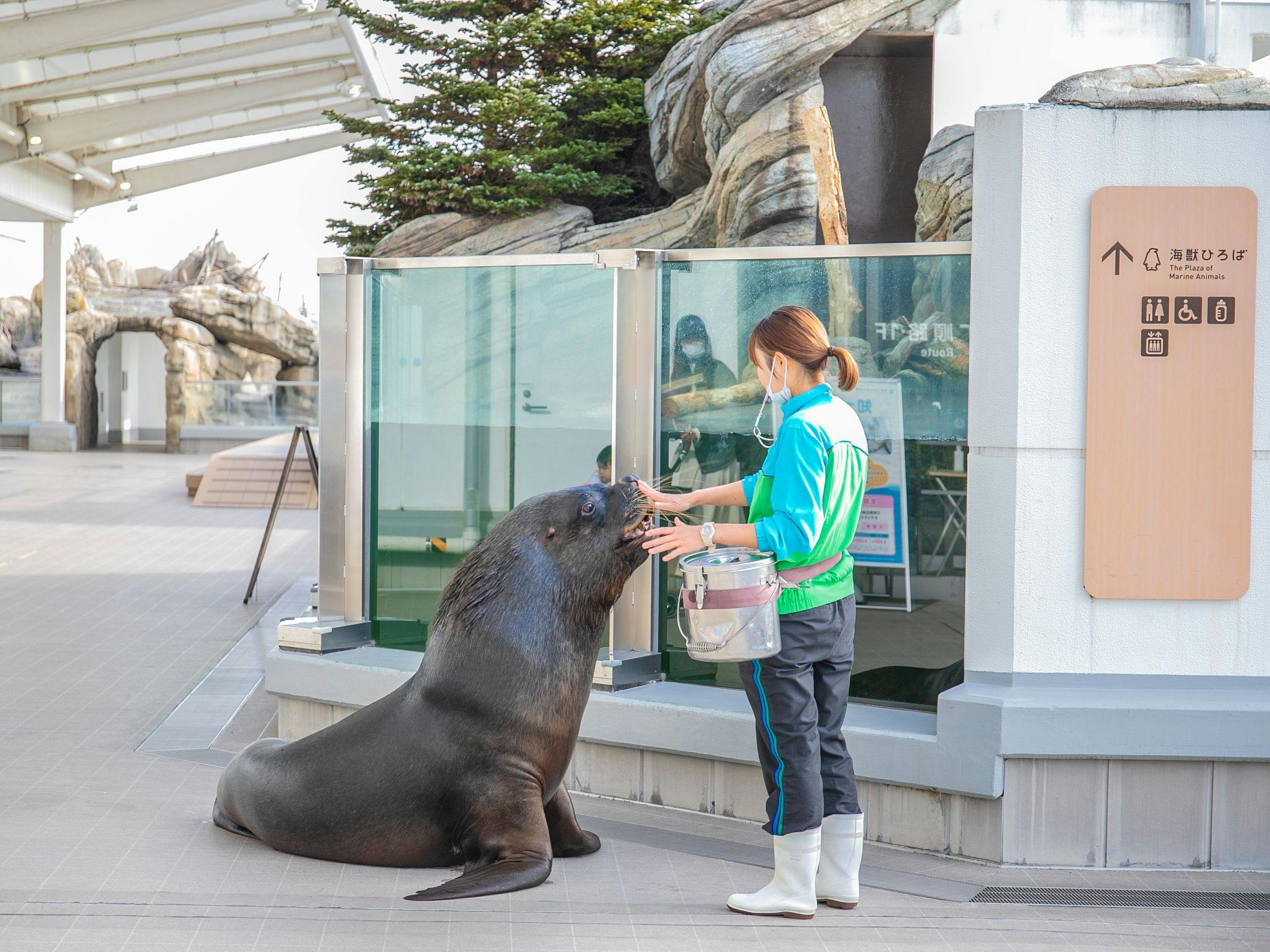 센다이 우미노모리 수족관