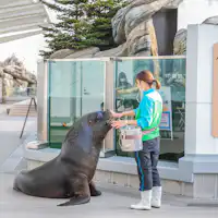 센다이 우미노모리 수족관