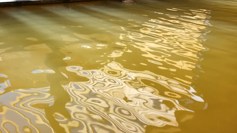 Hotel Kiso-Onsen Kogane-no-Yu