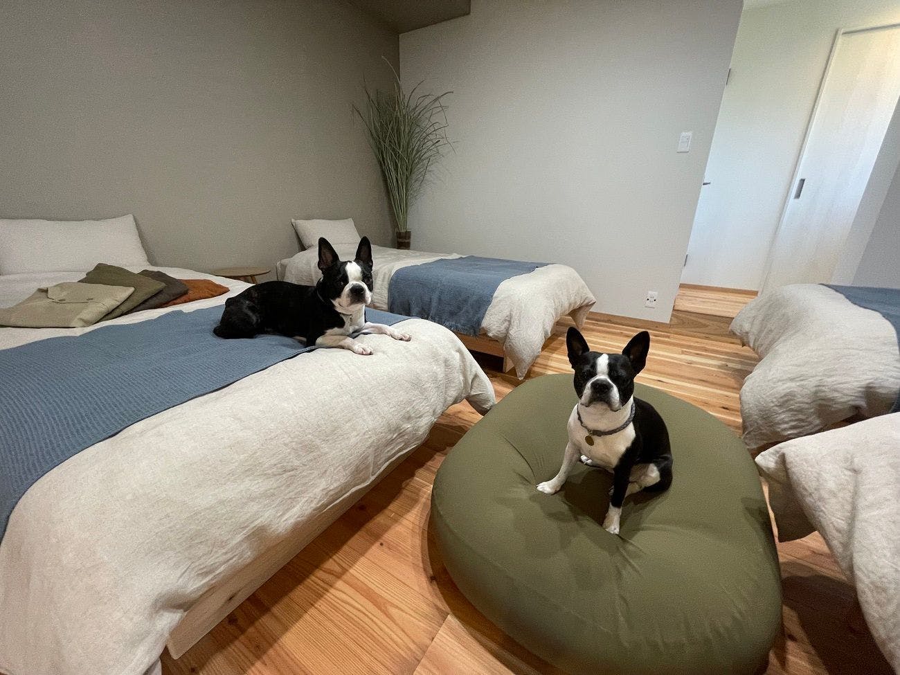 L'Orchidee Awajishima