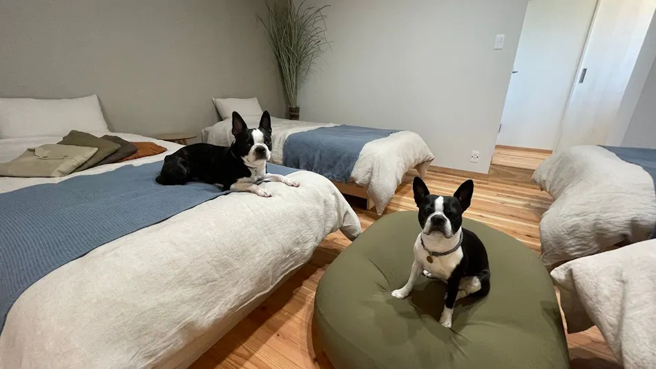 L'Orchidee Awajishima