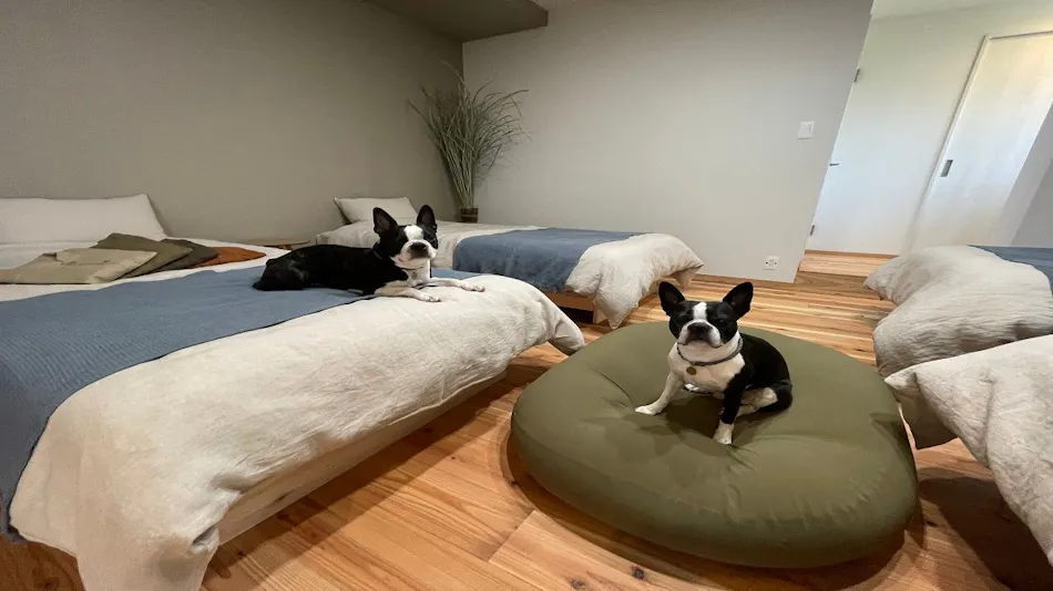 L'Orchidee Awajishima