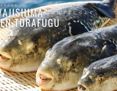淡路島3年とらふぐ