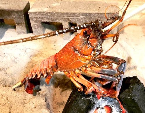 ・オプションで伊勢海老の丸焼き