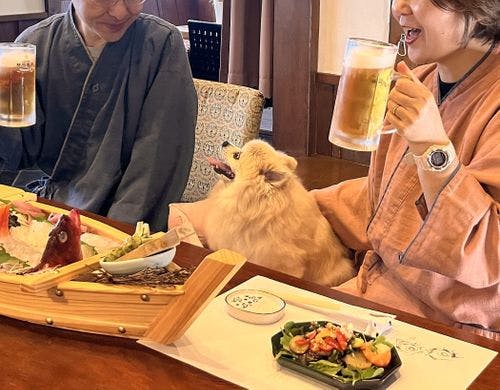 お食事処もペット同伴ＯＫ