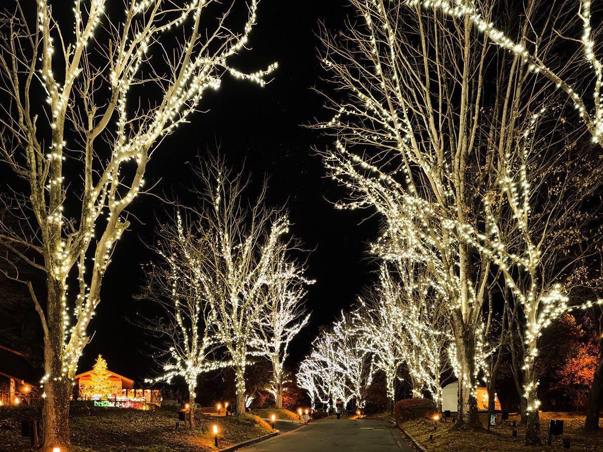 Glamping Resort Brilliant Village Nikko