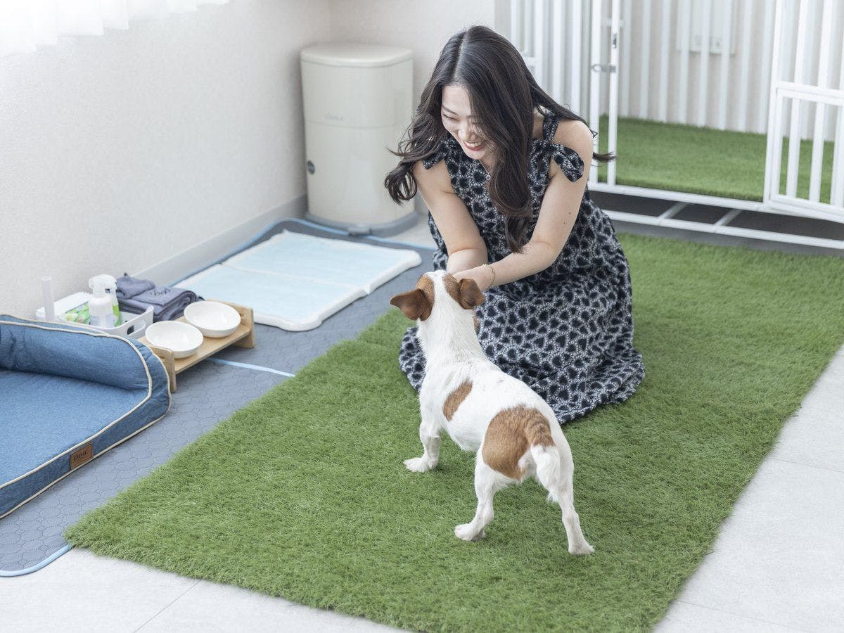 ห้องพักที่เป็นมิตรกับสัตว์เลี้ยง