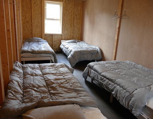 フォースドミトリー