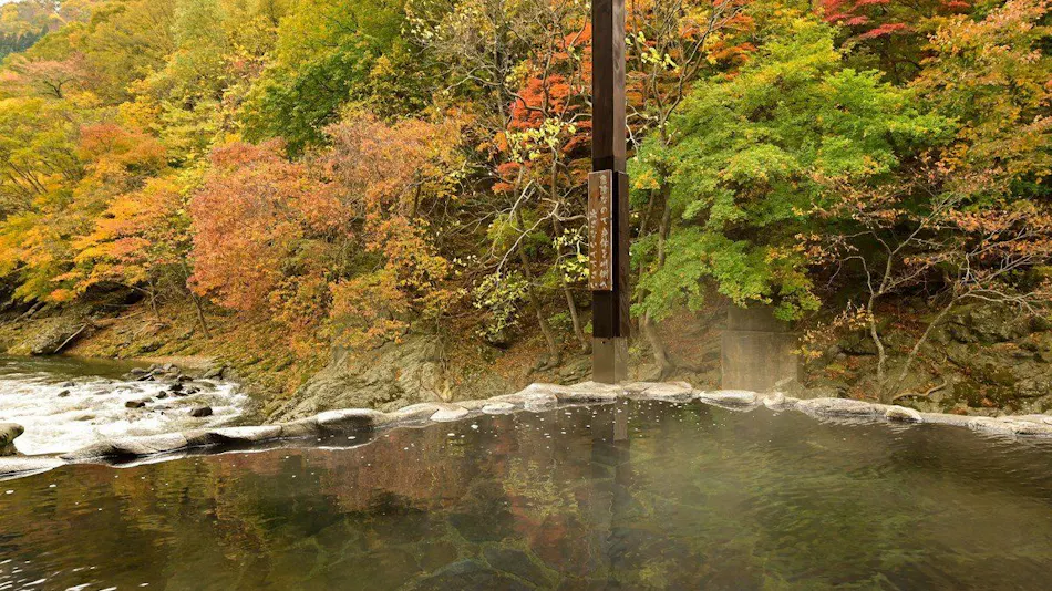 Yuze Hotel: Akita's Four Seasons Delight