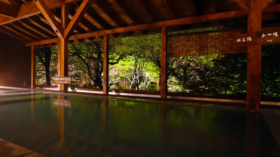 Yuze Hotel: Akita's Four Seasons Delight