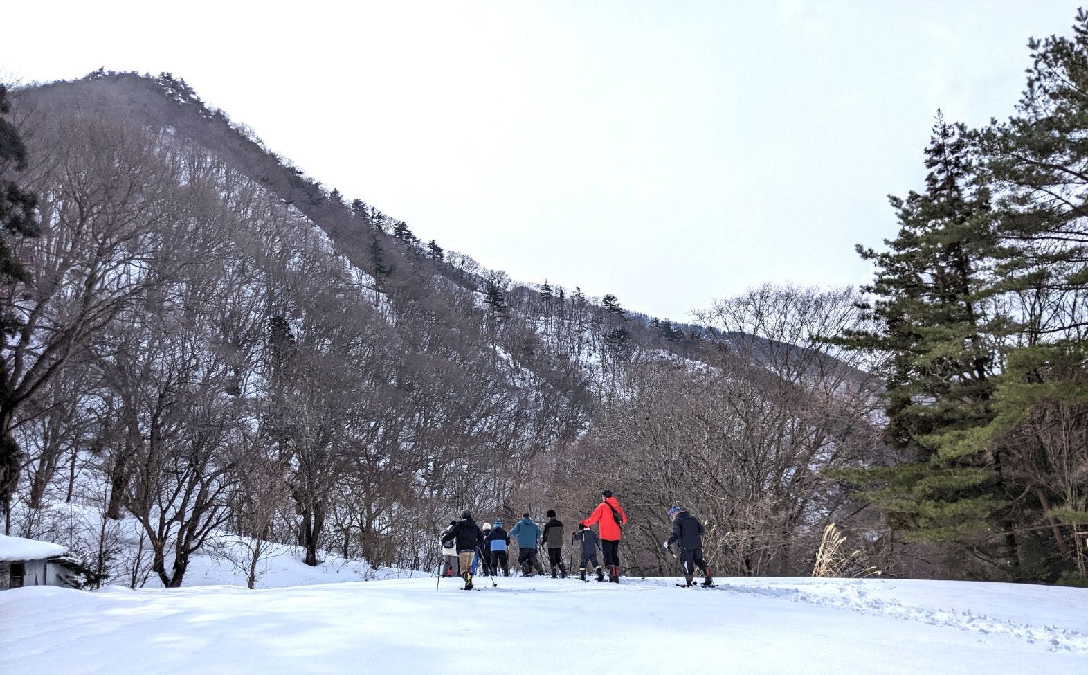 冬季漫步於湯瀨峽谷