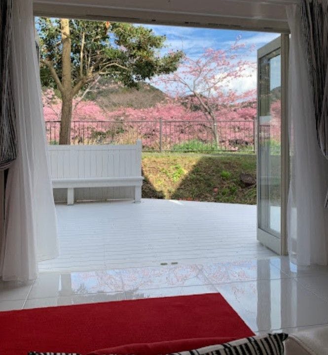 คุณสามารถชมดอกซากุระคาวาสึได้จากภายในห้องพัก