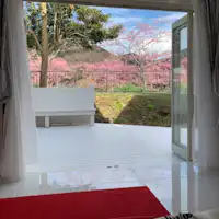 คุณสามารถชมดอกซากุระคาวาสึได้จากภายในห้องพัก