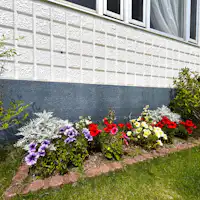 เชลล์■ดอกไม้หลากสี