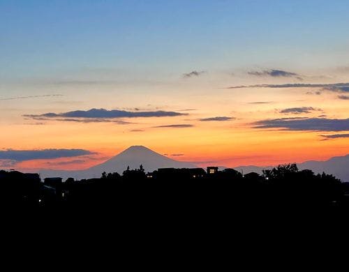 本館からの眺め