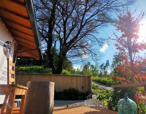 ウッドデッキからの眺め