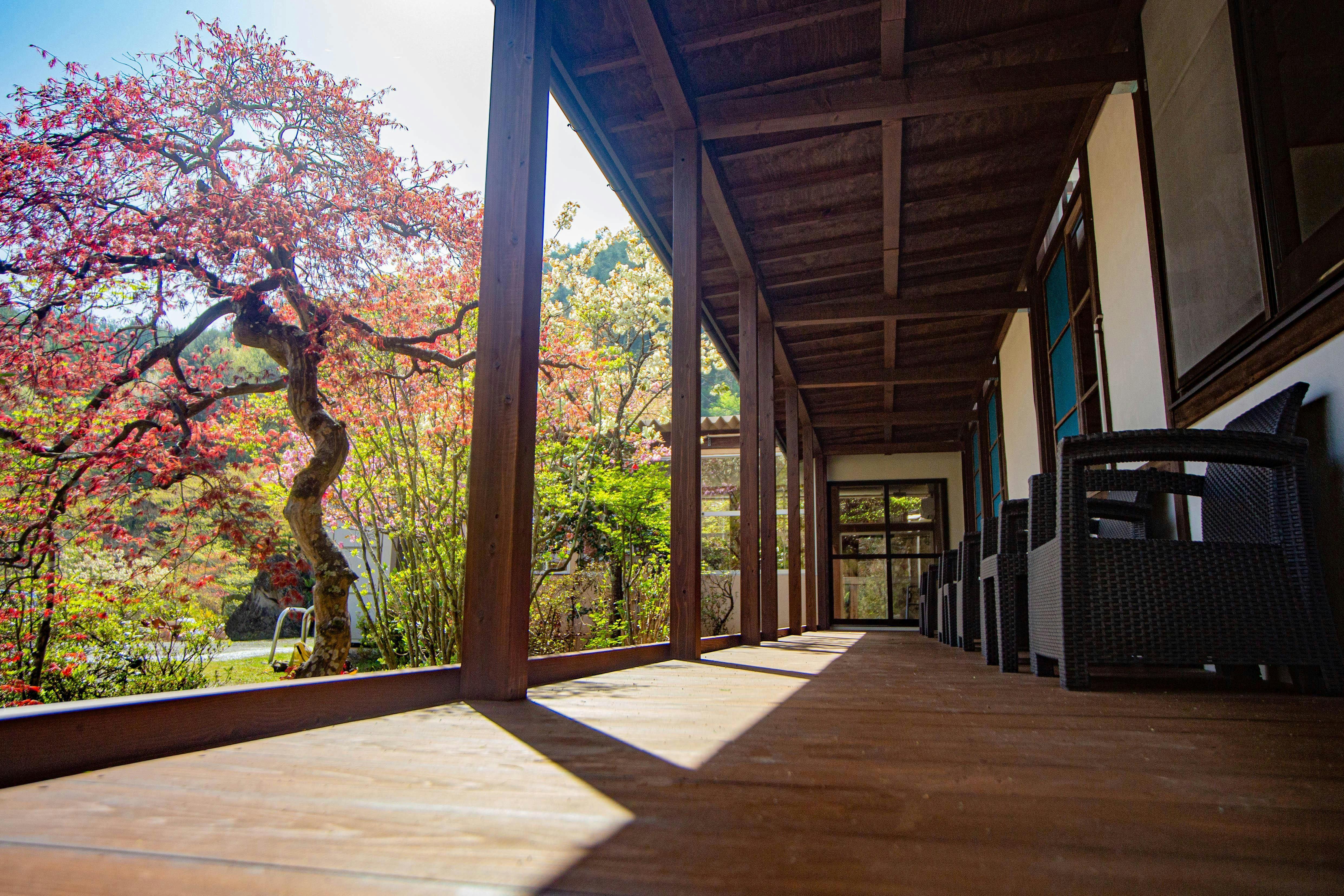 ระเบียง (พื้นไม้)