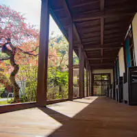 ระเบียง (พื้นไม้)