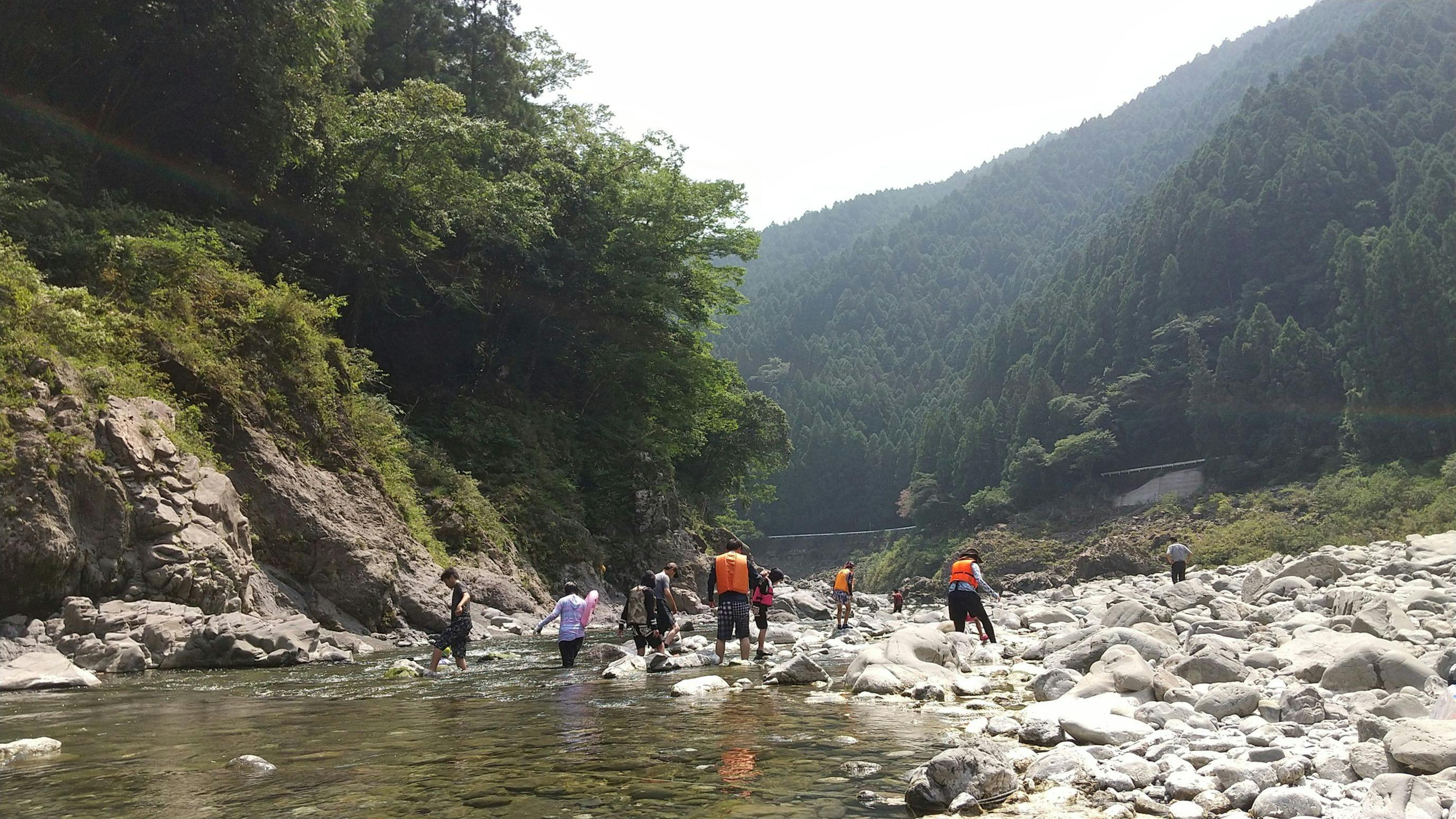 Mountain Lodge Hanase-an