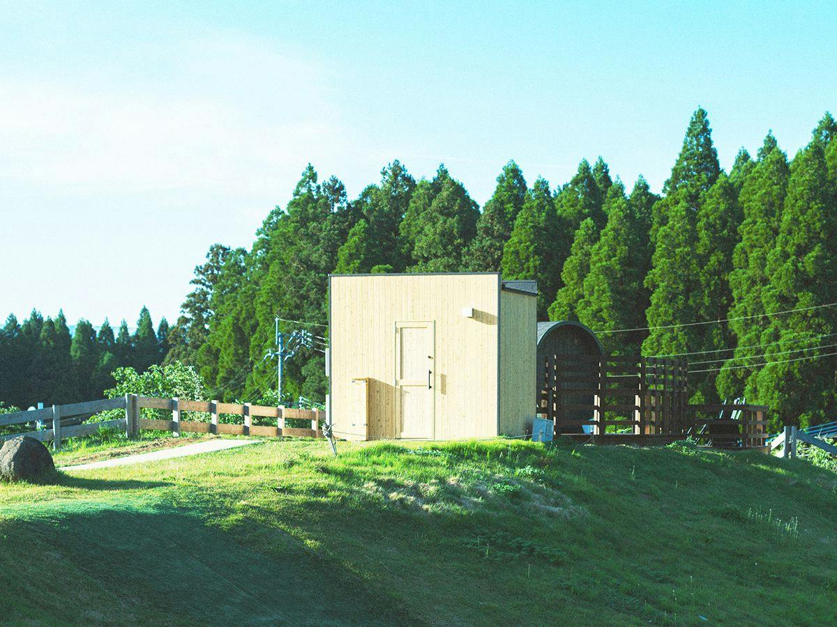 Kosugi Resort