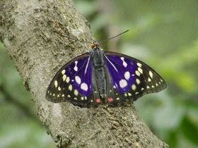 府中第一ホテル