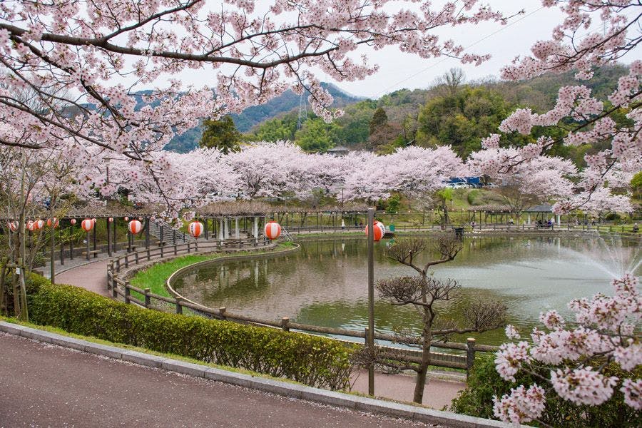 สวนสาธารณะฟุจู