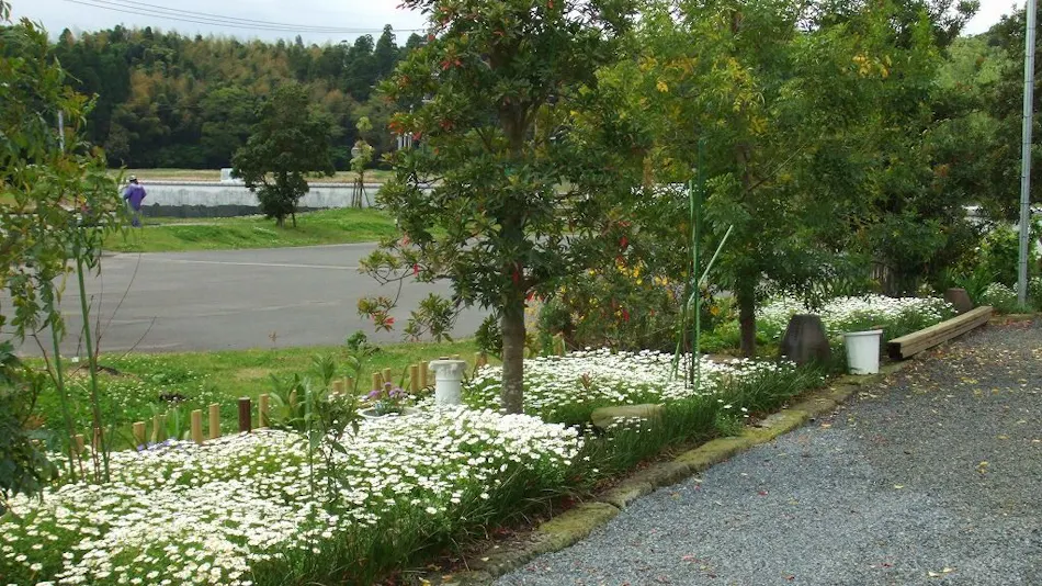 Shibushi no Yado Suzukaze