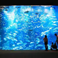 오가 수족관 GAO