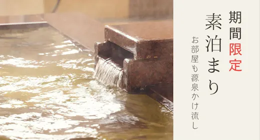 【タイムSALE】\最大20%OFF!/ぬる湯~あつ湯まで!自家源泉100%の極楽気分<素泊まり>