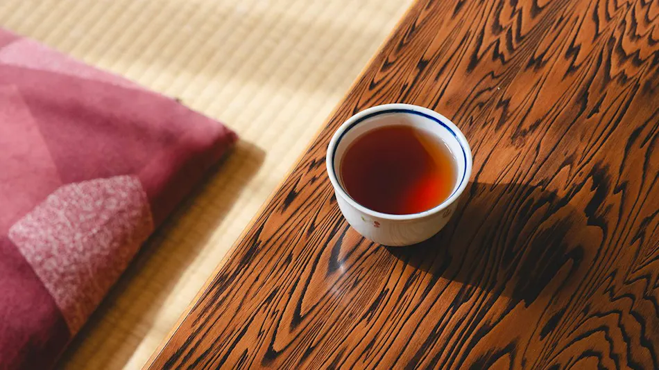 Hotel Yuou Onsen