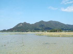 ホテル・レクストン徳之島