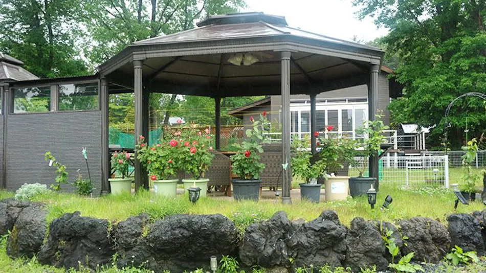 Cottage Fairy Garden