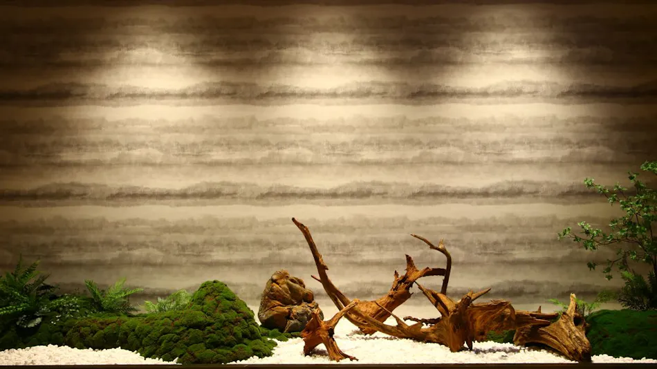 Tokaido's Hidden Inn Tamamotoya