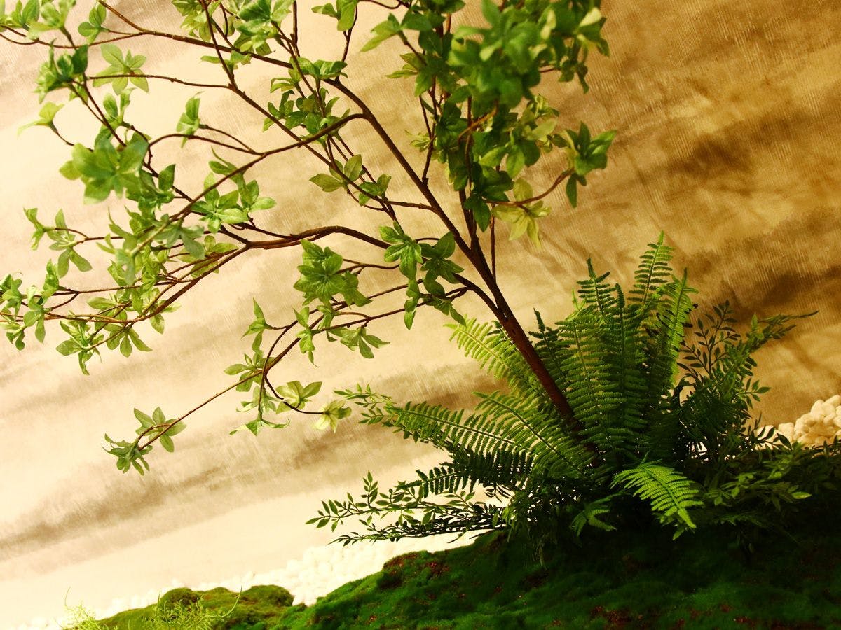 Tokaido's Hidden Inn Tamamotoya