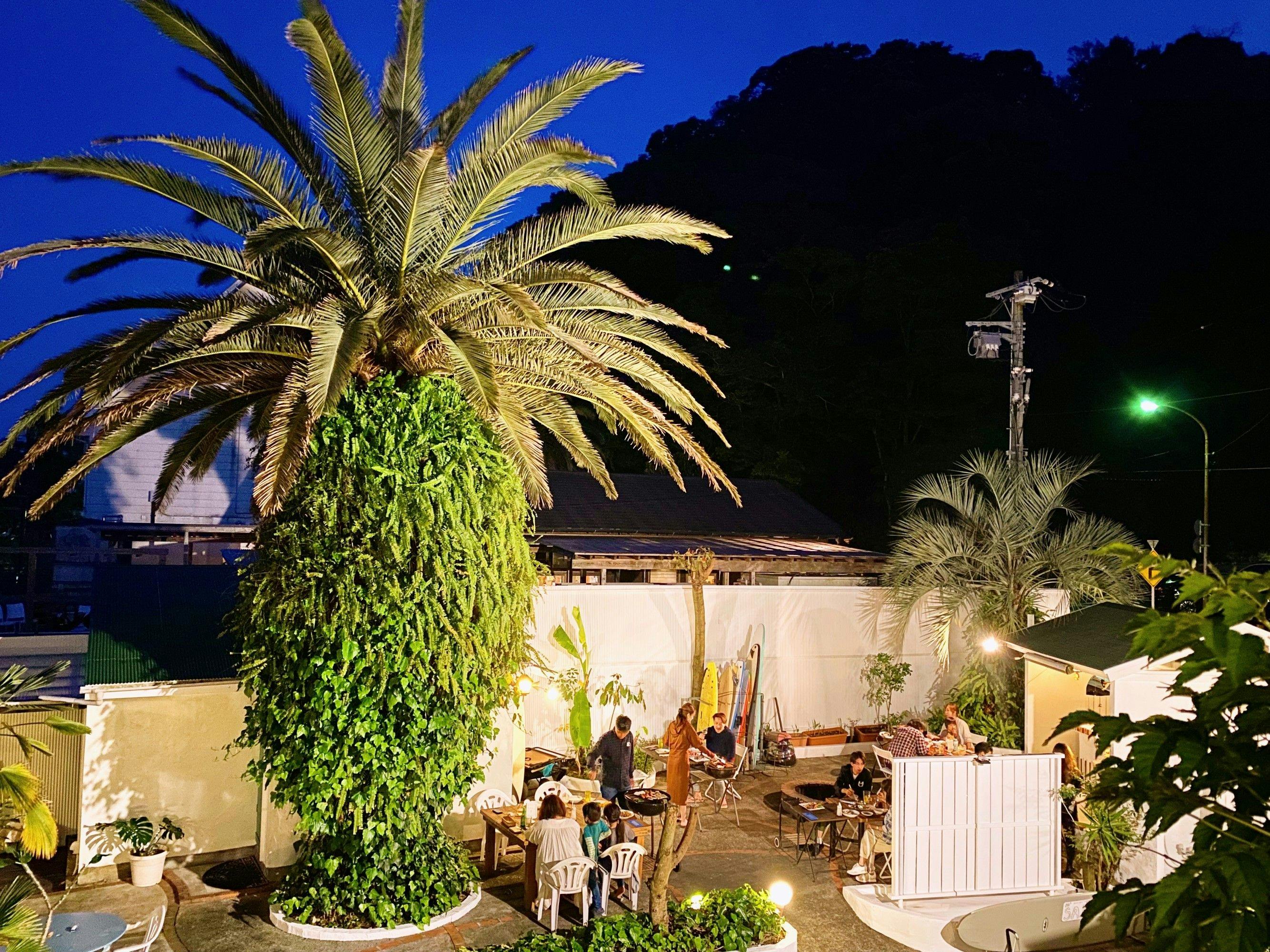 Coco De Mer