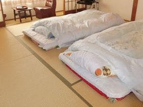 ロハスの館 こがね荘