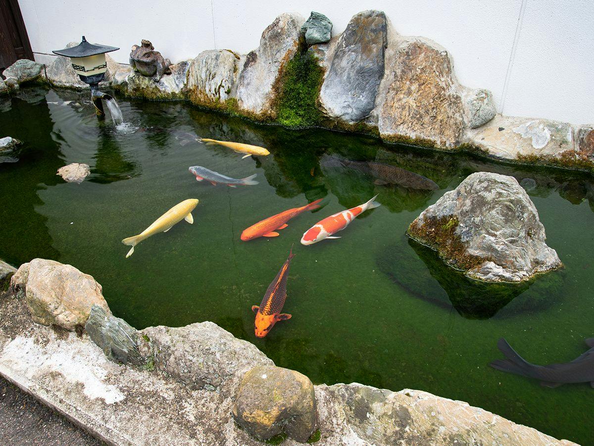 Tada Onsen Hakuryukan