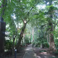 สวน (ทางเดิน)