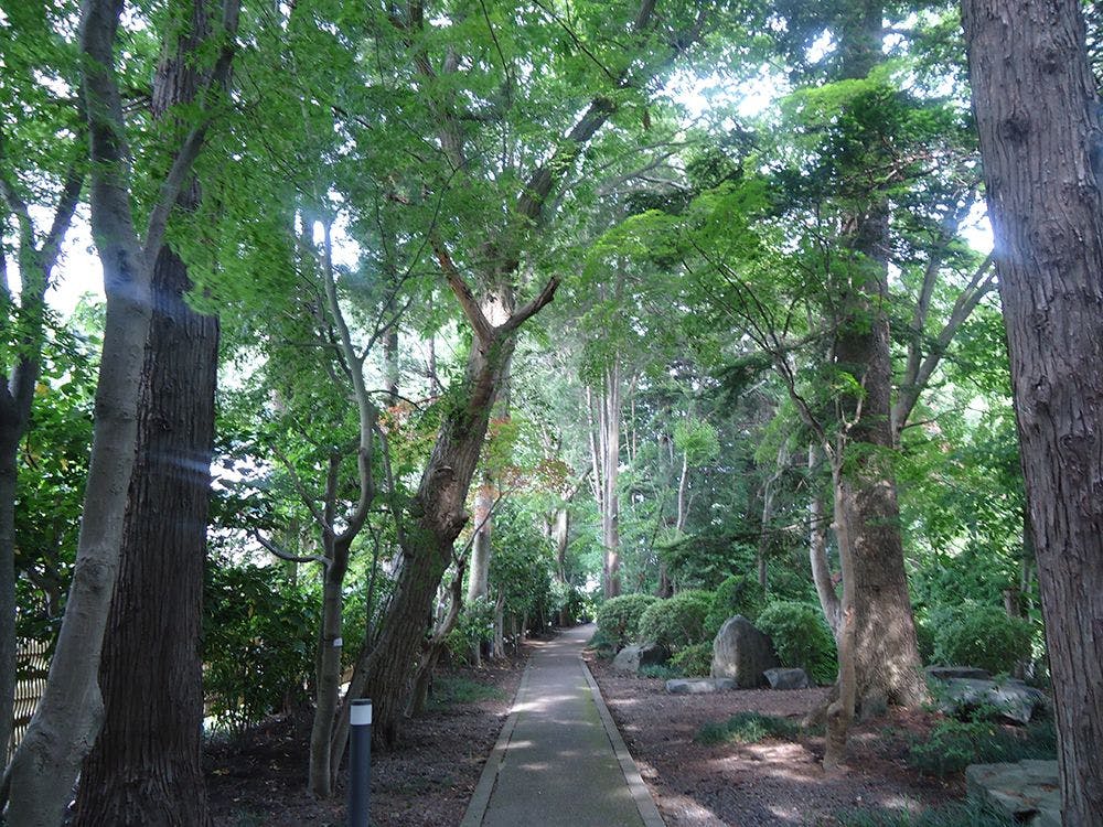施設画像
