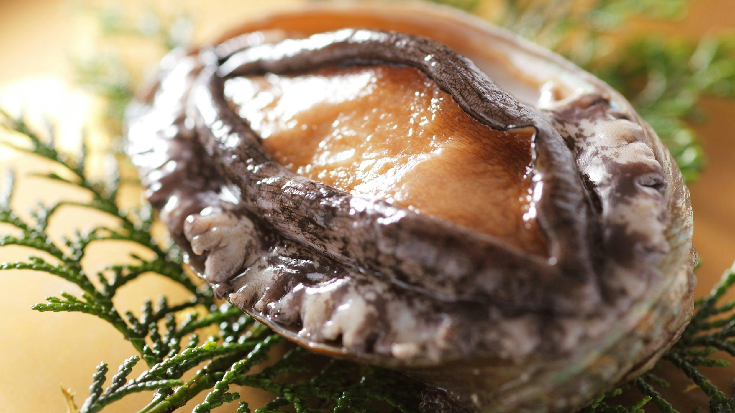 Kasumi Yuunagi no Oka