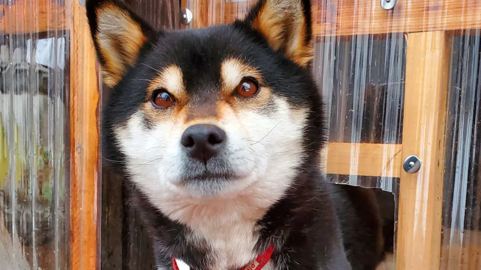 Lodge Kirin: Private Bath and Local Cuisine Accommodation