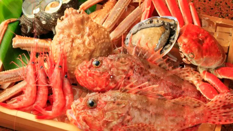 Kappo Ryokan Nihonkai