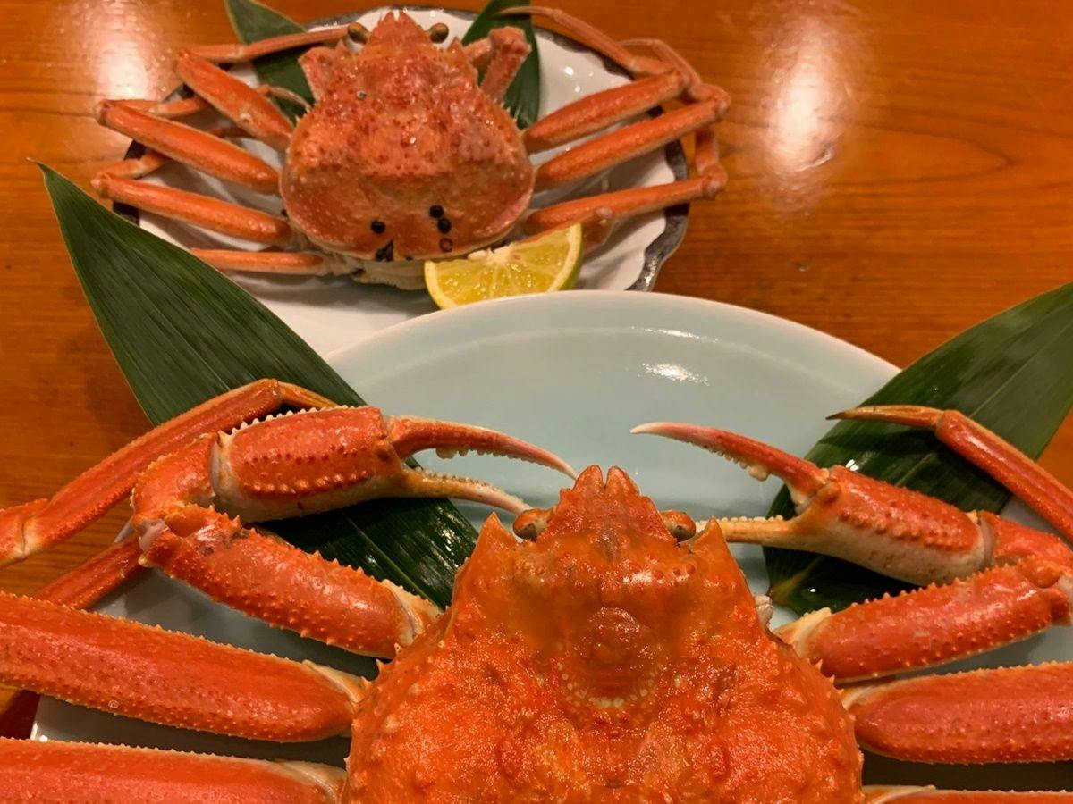 Senjo Onsen Seiryu