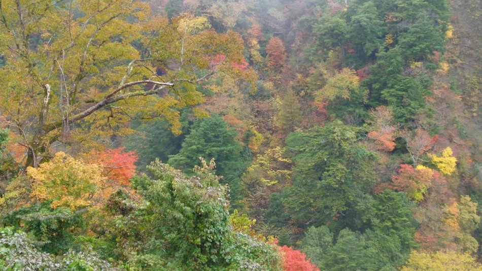 Keikoku no Yado Nihiki no Oni