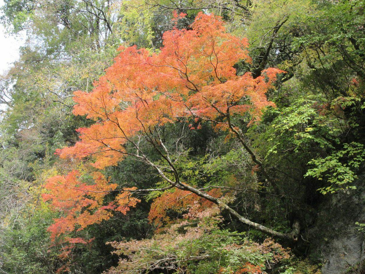 Keikoku no Yado Nihiki no Oni