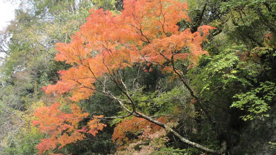 Keikoku no Yado Nihiki no Oni