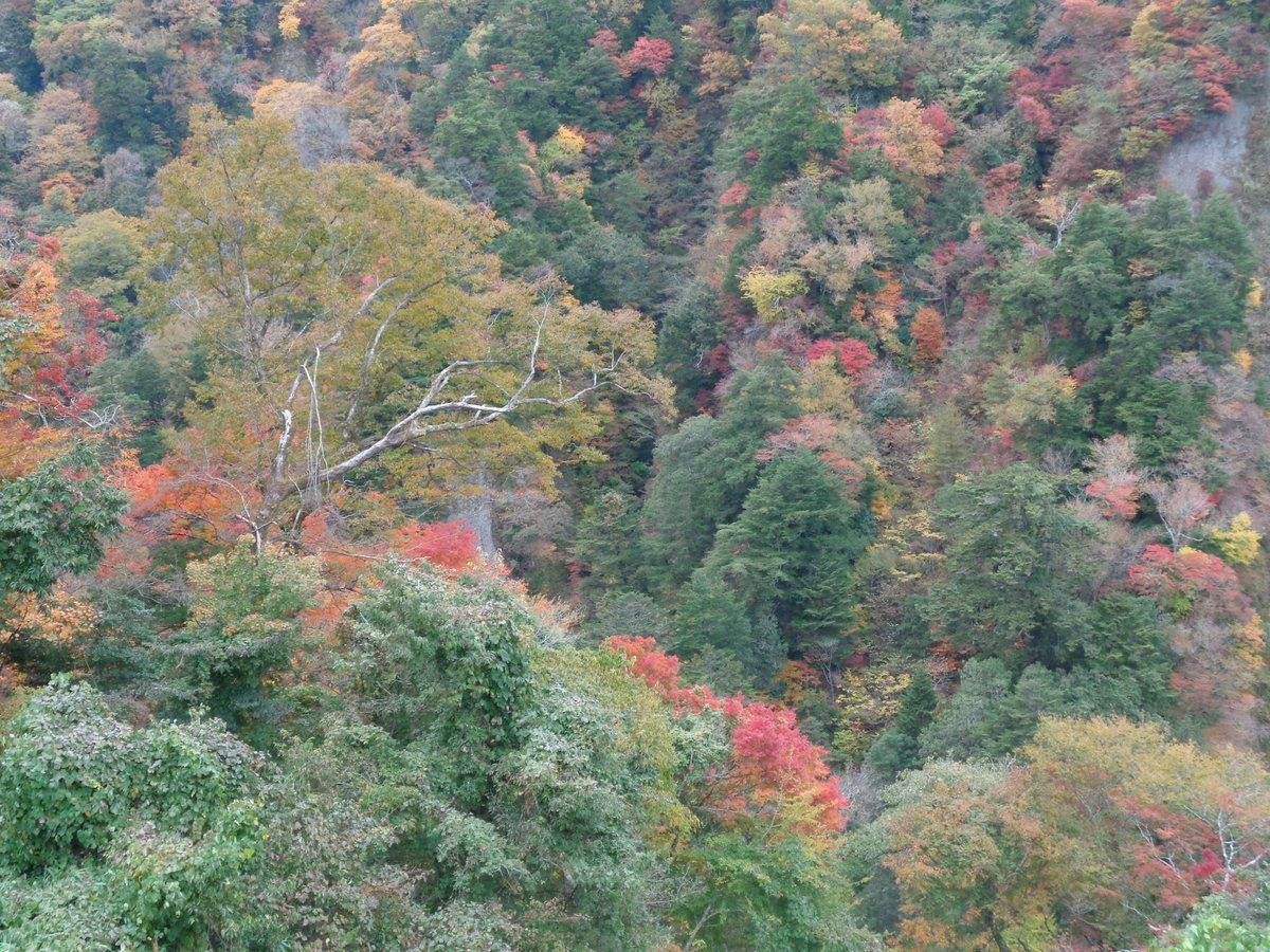 Keikoku no Yado Nihiki no Oni