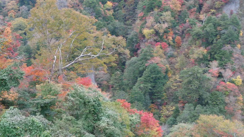 Keikoku no Yado Nihiki no Oni